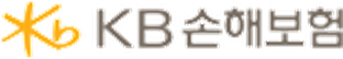 KB손해보험